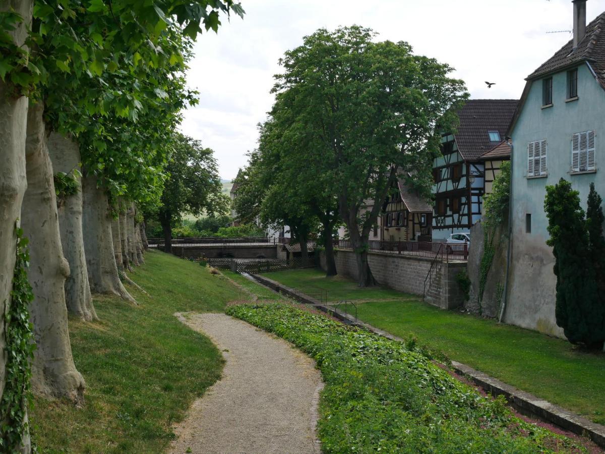 La Cour St-Fulrad - Les Suites Saint-Hippolyte  Exterior foto